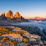 Wings in the Morning