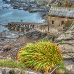 The Old Lifeboat Station