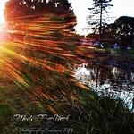 155. SPITFIRE: Dragon's Breath