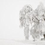 Magic Winter remastered