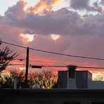 Dramatic Sunset Camera Comparison: iPhone 7 Plus vs. Canon SX60 HS