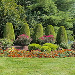 1739_Walk Around the Neighborhood