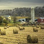 November Hay! .....HFF
