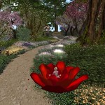 What a ride! Serenity Gardens