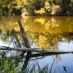 Reflejos en el Pisuerga