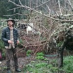 2017.2.5 Winter fruit tree pruning orchard