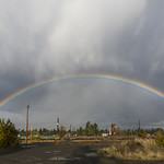 Rainbow over the yard