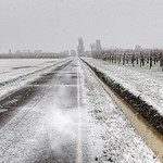 * Nevicata Autunnale questa mattina * Autumn snowing this morning *