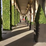 Angelina, hot chocolate