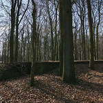 Bunker DAF-Lager "Waldfrieden" (WW2 Air Raid Shelter)