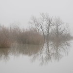 The Ooijpolder in colour......Can&rsquo;t choose between the B&W and this one