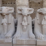 Ram Sphinxes, Karnak