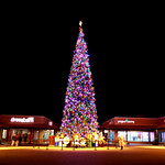 Happy New Year 2018!