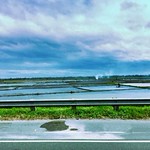 Rice field - HFF
