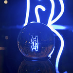 Lensball & Puddle Reflections of Lightpainted Cat