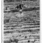 Teatro greco di Siracusa - anni trenta