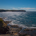 Shining strands (Explored)