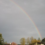 Arc en ciel hier matin. Rainbow yesterday morning.