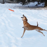 5/52 - Gracie has got it!