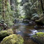 In all the truths between us