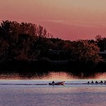 Rowers At Sunset