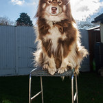 touched by the light 4/52