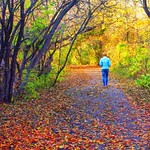 Walk into Autumn