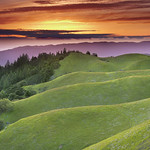 Faultlines - Mt. Tamalpais, Marin County, California