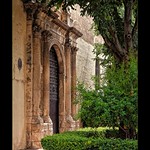El perrito del convento de Santa Isabel.