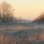 Early morning winter walk