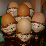 Eggheads