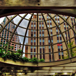 View through the dome