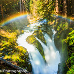Sol Duc Falls, Olympic National Park