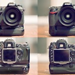 40 of 365 Nikon Vs Nikon