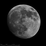 Moon_MG_0341