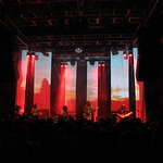 The Dandy Warhols - Courtney Taylor-Taylor, Peter Holmstr&ouml;m, Zia McCabe & Brent DeBoer