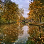 Autumn at Isis Lock