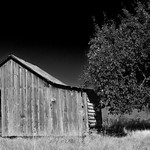 Rustic One-Room Studio