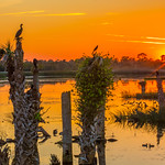 Viera Wetlands Sunset