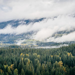 We're Falling Now In The Name Of The Anthrocene