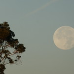 Big Full Moon (1) - Grande Lua Cheia (1)
