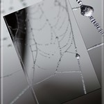 Eistropfen / icedroplet