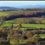 What You See Is What You Get