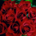 Could I join two hearts as well?