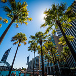 Sydney : Australia : 2016