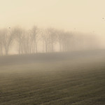 hanging in the misty clouds