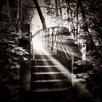 crossing over [Explored]