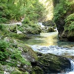 Vintgar gorge