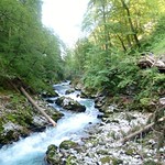 Vintgar gorge