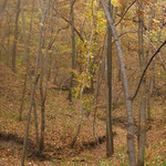 Barren, but bountiful